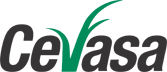 Cevasa